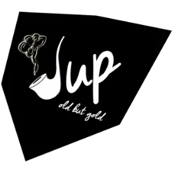 Jup-Logo
